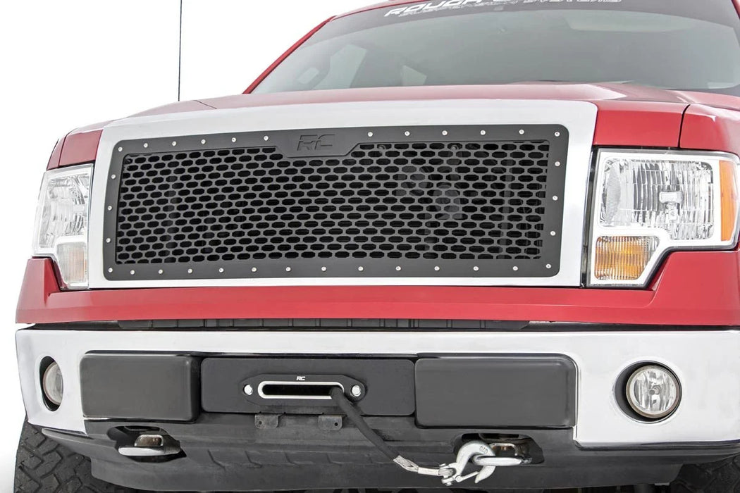 2009-14 2&4WD Ford F150 Mesh Grille